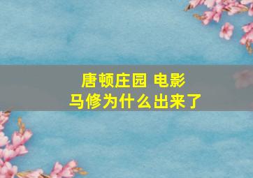 唐顿庄园 电影 马修为什么出来了